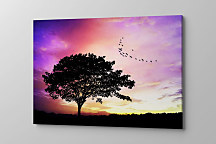 Obraz s osamelým stromom v podvečer zs1327